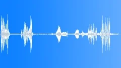 WHALE, KILLERSound Effect