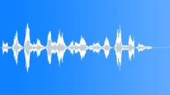 WHALE, KILLERSound Effect