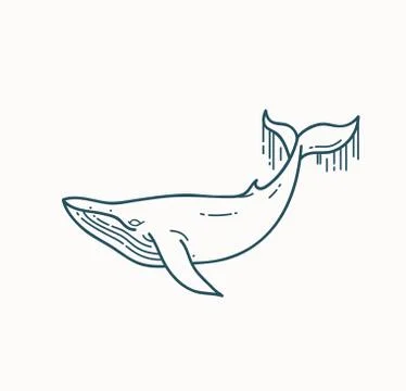 Whale linear illustration Stock Illustration