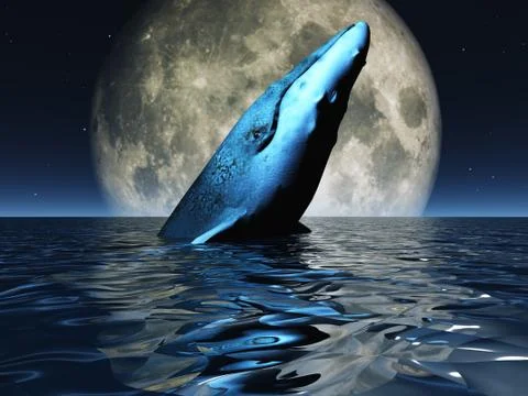 Whale on oceans surface with full moon Stock Illustration