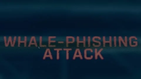 Whale Phishing Attack, spear phishing attack Stock Footage 309403382
