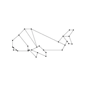 Whale Polygonal Lines Stock Illustration