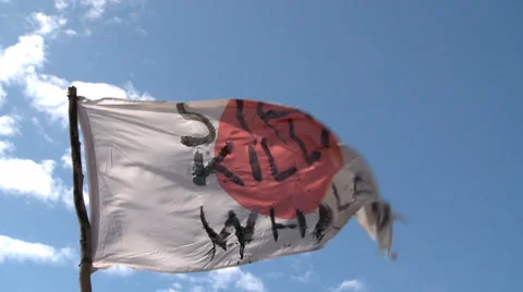 Whale Protest Stock Footage 29657509