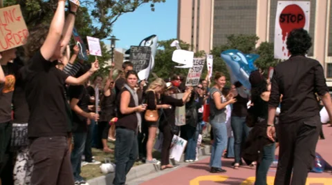 Whale Protest Stock Footage 29657814