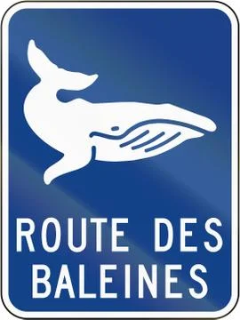 Whale Route in Canada Illustrazione stock