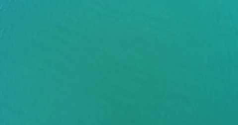 Whale shark aerials Stockbeeldmateriaal 87635871
