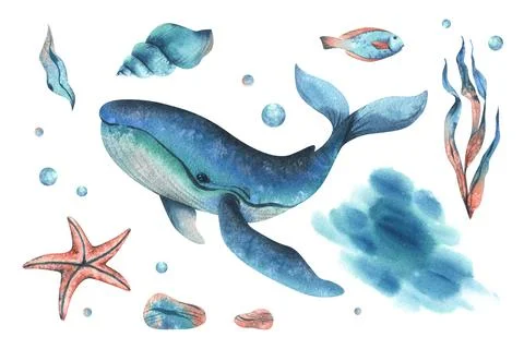 Whale, shells, starfish, fish, bubbles, pebbles and other sea animals and plants Stock Illustration