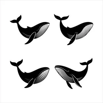 Whale silhouette Stock Illustration