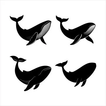 Whale silhouette Stock Illustration