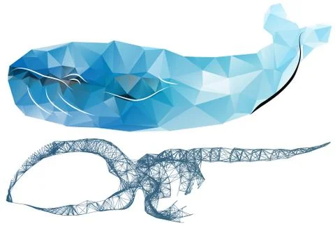 Whale skeleton Stock Illustration