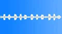 WHALE Sound Effect