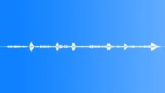 WHALE Sound Effect