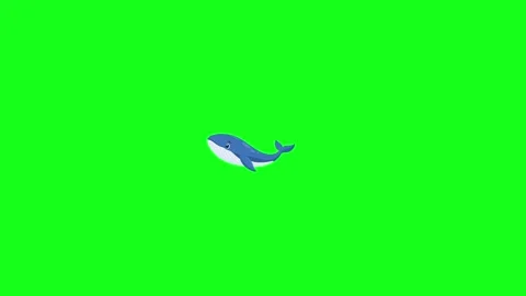 Whale swimming, 2D vector animation, green screen Stock Footage 339596375