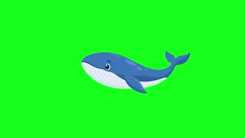 Whale swimming, 2D vector animation, green screen Stock Footage 339596376