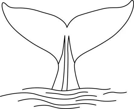 Whale tail emerging from water Vector 스톡 일러스트