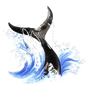 Whale tail Stock-Illustration