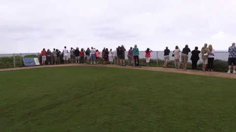 Whale Watching Stock Footage 35256234