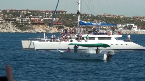 Whale watching Stock Footage 50608046