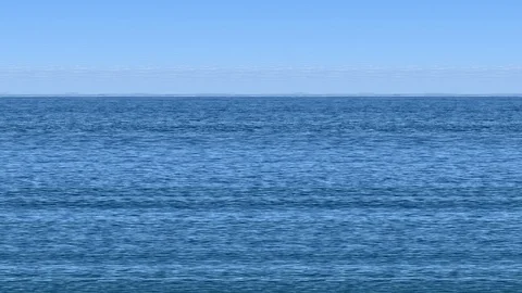 Whale watching Stock Footage