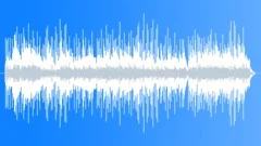 Whales 1Stock Music