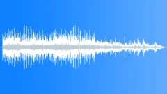 Whales 3Stock Music