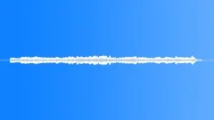 Whales 5 Stock Music