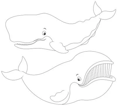 Whales Stock Illustration