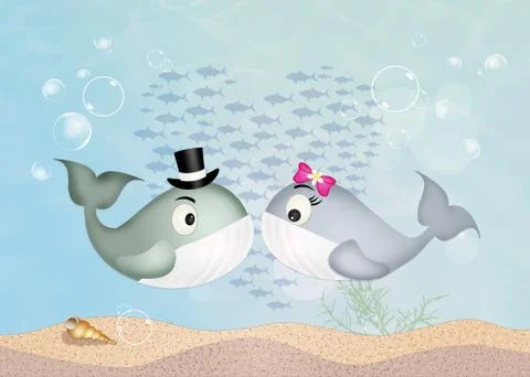 Whales in love Stock Illustration