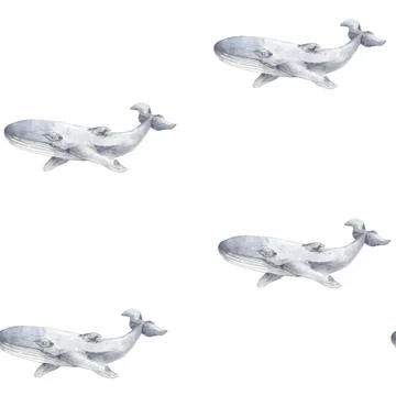 Whales seamless pattern on white background. Hand drawn illustration. Water.. Stock Illustration