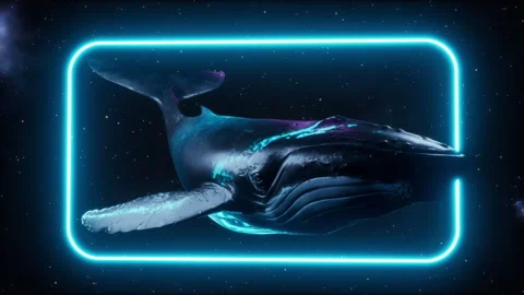 A Whales In Space With Neon Frame Vidéo 283757663