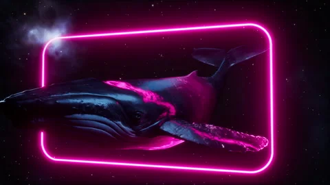 A Whales In Space With Neon Frame Vidéo 283758521