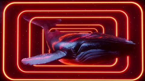 A Whales In Space With Neon Frames Vidéo 283760637