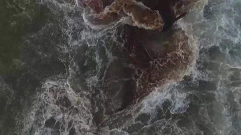 Whales, stranded, Die, Ocean, Lost, Nature, Live Stock Footage 247630846