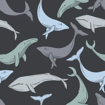 Whales.  Vector  pattern. Stock Illustration