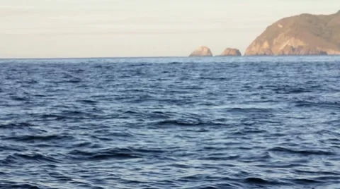 Whales3 1 Stock Footage 7753746