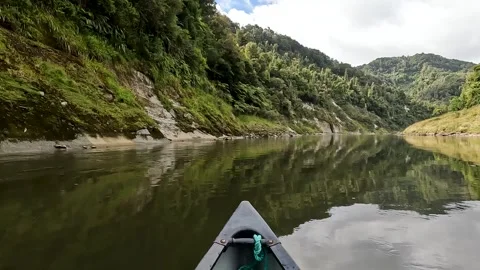 Whanganui Journey : Serene Mirror-like Reflections on the Calm Whanganui Ri.. Stock Footage 285382753