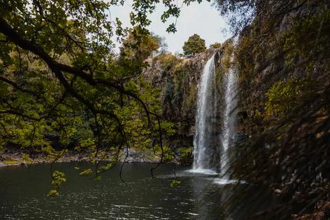 Whangarei Falls Stock Photos