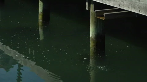 Wharf Drain Water Stock Footage 345985