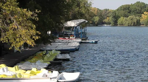 Wharf on lake Video stock 30831829