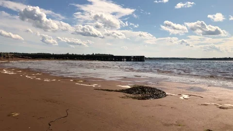 Wharf Slow Motion 動画素材 125024862