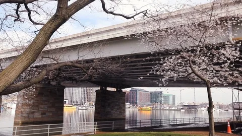 The Wharf in Washington, D.C. Video stock 126737501