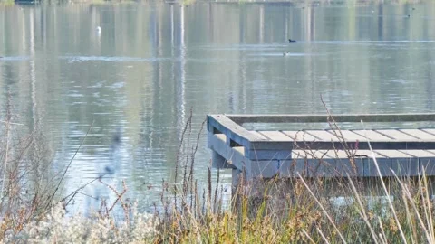 Wharf by the water edge with grass Stock Footage 341192968