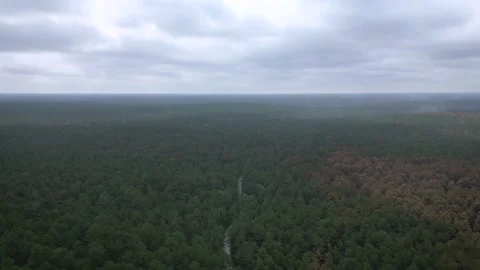 Wharton State Forest fires Stock Footage 279159941