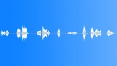 What are you doingSound Effect
