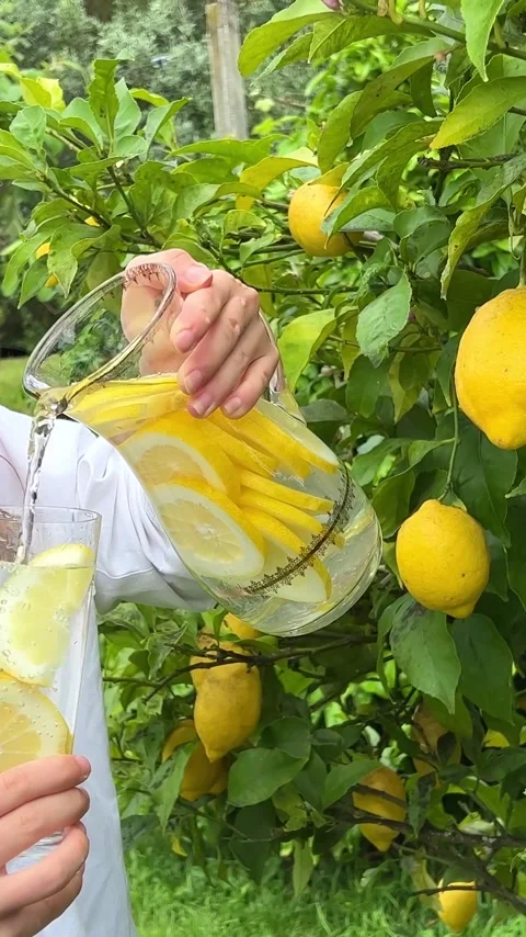 What could be better than Cool Lemonade in a Hot Summer A girl stands with a jug Stock Footage 244400214