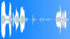 What Did You Eat - Female VoiceoverSound Effect