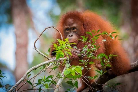 What do you do? Stock Photos