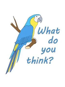 What do you think Stock Illustration