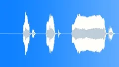 What - Female VoiceoverSound Effect