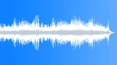 What A Perfect Country Day (Guitars) Stock Music